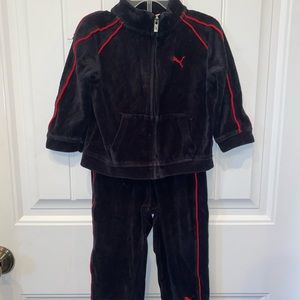 Puma toddler sweatsuit